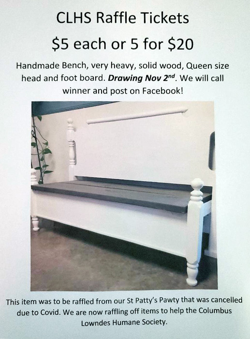 bench-pic